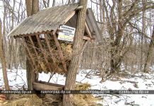 В лесах вблизи Павлограда охотоведы подкармливают диких животных (ФОТО и ВИДЕО)