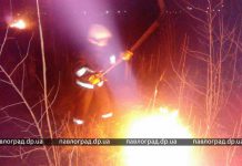 В Павлограде открылся сезон сжигания сухостоя (ФОТОФАКТ)