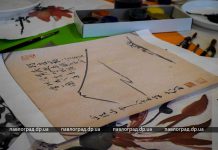 Павлоградцы постигают восточное искусство суми-э (ФОТО)