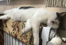 У Павлограді поки не розпочинають опалювальний сезон: чому?