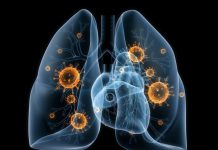 Епідеміолог розповіла про ситуацію з туберкульозом у Павлограді