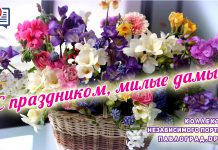 Команда Павлоград.dp.ua поздравляет с самым нежным весенним праздником!