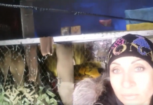 В Павлограде произошел пожар в волонтерском центре (ВИДЕО)