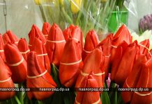 Предпраздничное настроение: сколько стоят весенние цветы?