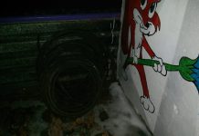 Полицейские больше километра гнались за вором кабеля (ФОТО)