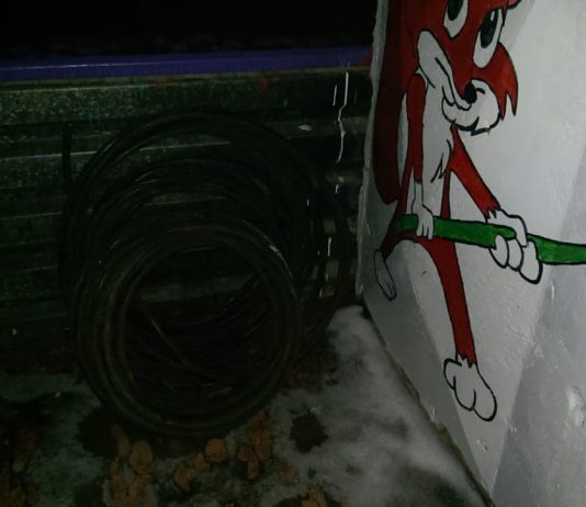 Полицейские больше километра гнались за вором кабеля (ФОТО)