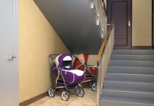 В Павлограде мужчина украл из подъезда детскую коляску. И не только