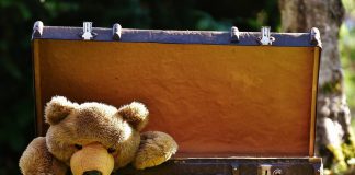 Из Павлограда за год выехало почти 900 жителей