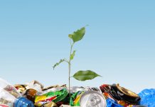 В Павлограде проведут конкурс на услугу по вывозу мусора