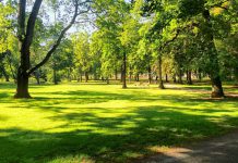 Павлоградські парки оброблятимуть проти кліщів: графік робіт