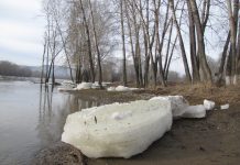 В нагульном пруде обнаружили тело павлоградца