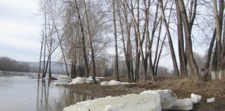 В нагульном пруде обнаружили тело павлоградца
