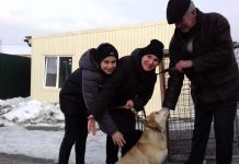 Павлоград.dp.ua помог собаке из приюта найти новых хозяев