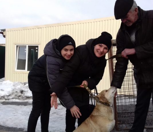 Павлоград.dp.ua помог собаке из приюта найти новых хозяев