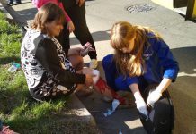 Водитель микроавтобуса, столкнувшегося с маршруткой, сбежал с места ДТП