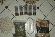 У павлоградцев изъяли тротил, гранаты и марихуану (ВИДЕО)