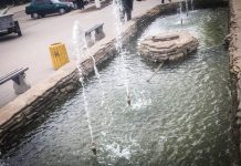 В Павлограде в фонтан запустили рыбок (ВИДЕО)