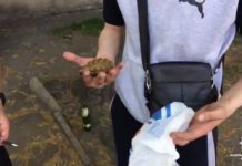 Житель Першотравенска хвастался перед девушкой … гранатой