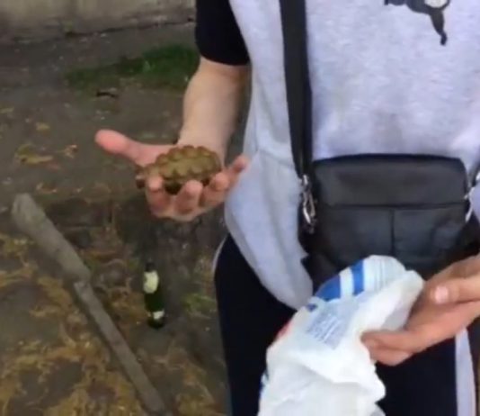 Житель Першотравенска хвастался перед девушкой … гранатой