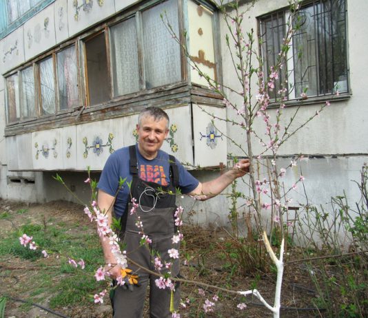 Как в Павлограде за обычной многоэтажкой появился фруктовый сад (ВИДЕО)