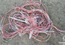 В Павлограде задержали кабельного вора