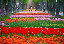 Не пропустите! 28 апреля — экскурсия из Павлограда в Кропивницкий!