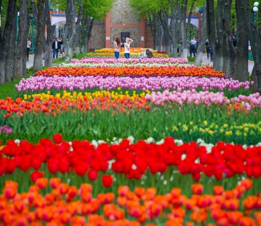 Не пропустите! 28 апреля — экскурсия из Павлограда в Кропивницкий!