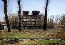 Двор в пепле: в Павлограде сгорел 4-этажный деревянный цех (ВИДЕО)