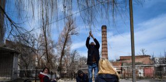 Вербный ажиотаж в Павлограде (ФОТОФАКТ)