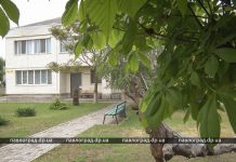 Плесень атакует детское отделение больницы Павлограда (ФОТО)