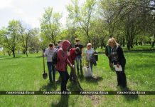 Школьники высадили в городском парке Павлограда молодые дубы