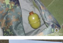 Полицейские изъяли взрывоопасные «сувениры» у павлоградца