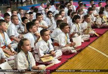 Павлоградские каратисты завоевали медали Кубка области (ФОТО)