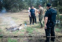 9 мая спасатели Павлограда провели рейд в сосновому лесу