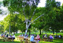 Павлоградскому парку нужна еще хотя бы сотня лавочек