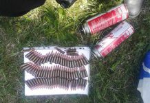 На Павлоградщине полицейские изъяли гранату, патроны и детонатор (ФОТОФАКТ)