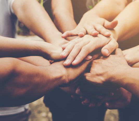 Стартовал проект «Павлоград — один для всех!»: список мероприятий