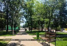 В Павлограде запретили политическую агитацию в Детском парке