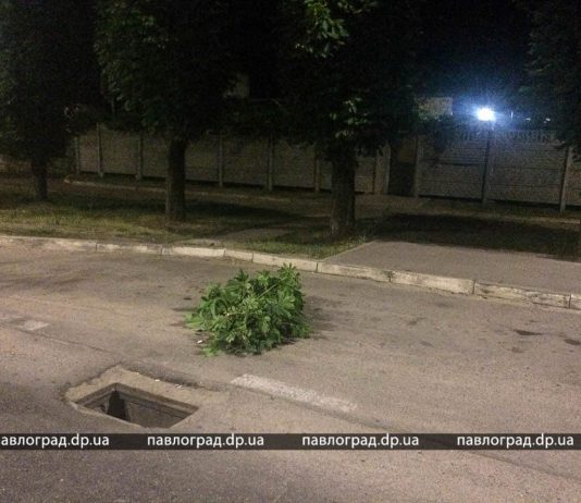 В Павлограде воры оставили улицы без ливнёвок (ФОТОФАКТ)