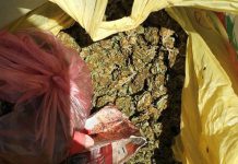 В салоне угнанного автомобиля павлоградские полицейские нашли наркотики