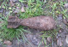 В Павлограде на берегу реки нашли снаряд