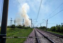 Сгорел гектар растительности возле моста через Самару (ФОТО и ВИДЕО)