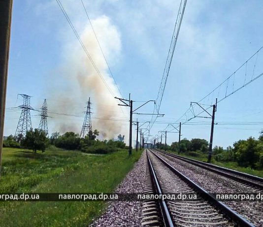 Сгорел гектар растительности возле моста через Самару (ФОТО и ВИДЕО)