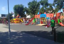 В Павлограде начал ходить «Зелёный патруль»