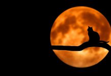 Сегодня павлоградцы смогут увидеть самое длинное лунное затмение века