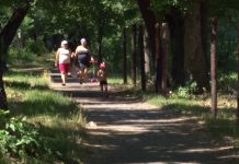 В городском парке появится площадка для пейнтбола (ВИДЕО)