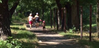 В городском парке появится площадка для пейнтбола (ВИДЕО)