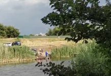 В Павлограде замечена машина-амфибия (ВИДЕО)