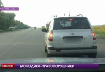 В Павлограде полицейские остановили иномарку с нетрезвой компанией в салоне (ВИДЕО)