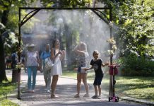 В Детском сквере установят новую систему орошения